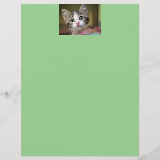 En söt kattunge med gröna ögon (Framsida)