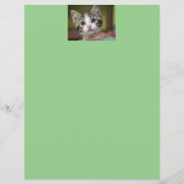 En söt kattunge med gröna ögon