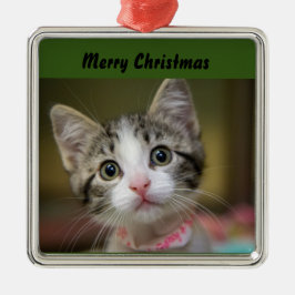 En söt kattunge med gröna ögon julgransprydnad metall
