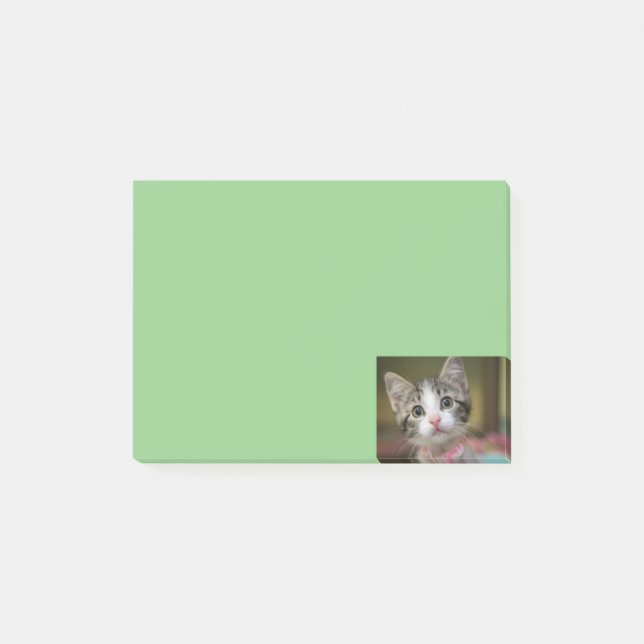 En söt kattunge med gröna ögon post-it block (Framsida)