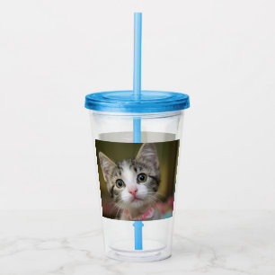 En söt kattunge med gröna ögon take away mugg