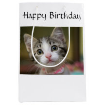 En söt kattunge med grönt öga