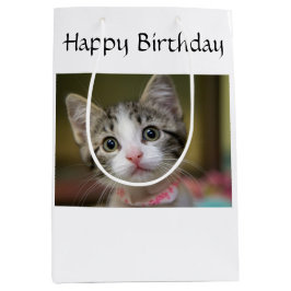 En söt kattunge med grönt öga