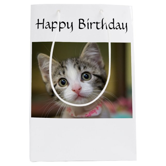 En söt kattunge med grönt öga (Framsidan)