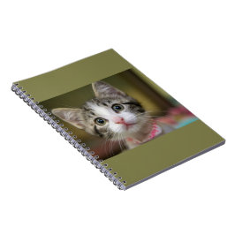 En söt kattunge med grönt öga anteckningsbok