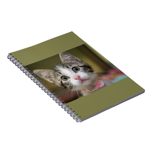 En söt kattunge med grönt öga anteckningsbok (Högra Sidan)