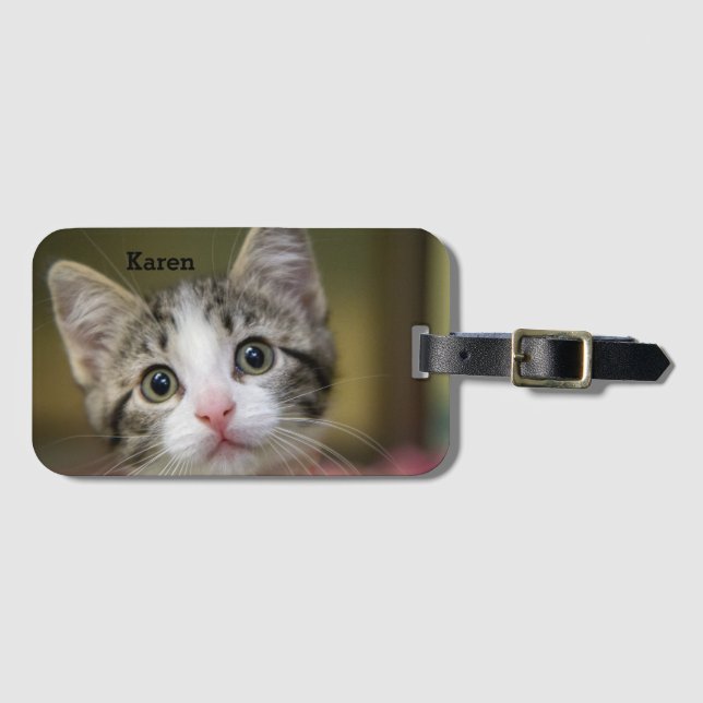 En söt kattunge med grönt öga bagagebricka (Framsida horisontal)