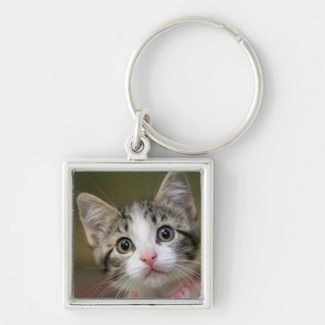 En söt kattunge med grönt öga fyrkantig silverfärgad nyckelring (Framsidan)
