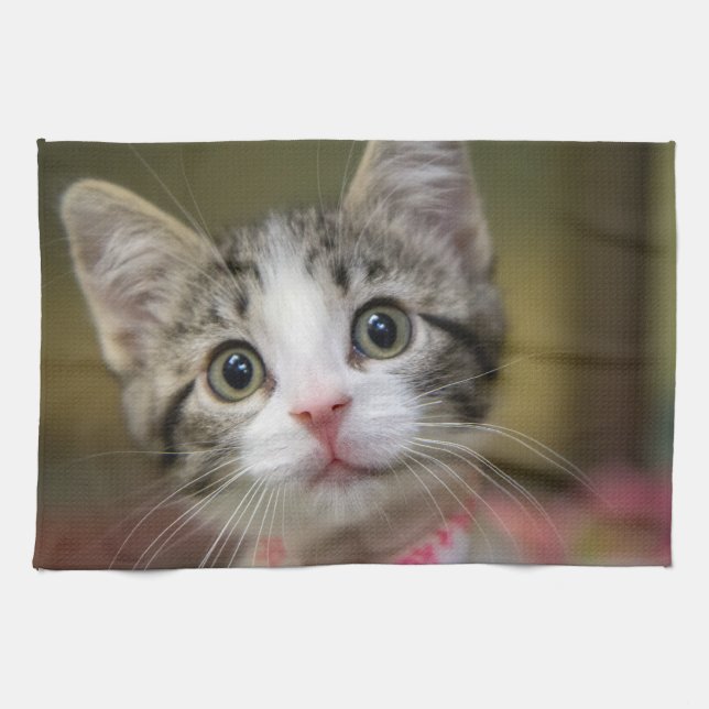 En söt kattunge med grönt öga kökshandduk (Horisontell)