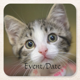 En söt kattunge med grönt öga underlägg papper kvadrat