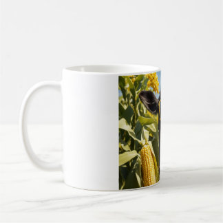 En söt ko på ett majsfält som äter kaffemugg