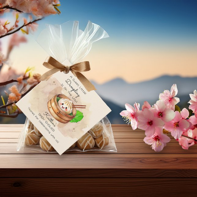 En söt liten dubbare Kwai Theme Baby Shower Gåvor Etiketter (A Sweet Little Dumpling Kwai Theme Baby Shower Square Favor Tags)