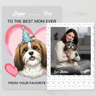 En söt Shih Tzu på en speciell tillställning för M Julkort