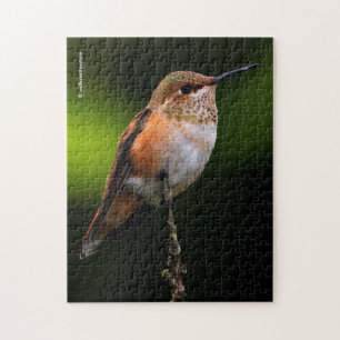 En sötad rufous Hummingbird-kapsel på Fruit Träd Pussel