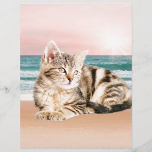 En sötnare randig katt som sitter på stranden vid