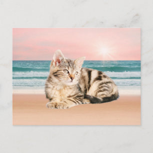 En sötnare randig katt som sitter på stranden vid vykort