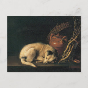 En sovande Hund med Terracotta Pot av Gerrit Dou Vykort