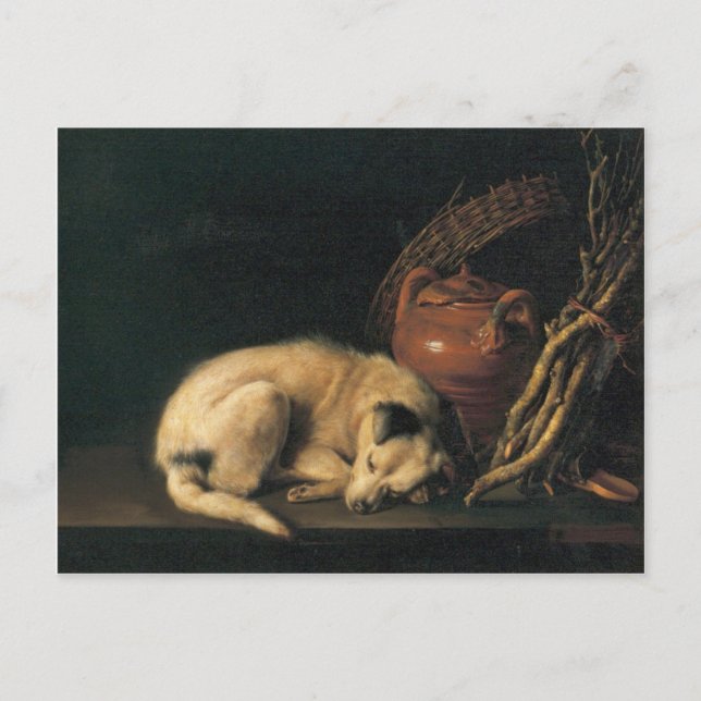 En sovande Hund med Terracotta Pot av Gerrit Dou Vykort (Framsida)