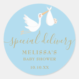 En speciell leverans Stork Baby Shower/Sprinkle Runt Klistermärke