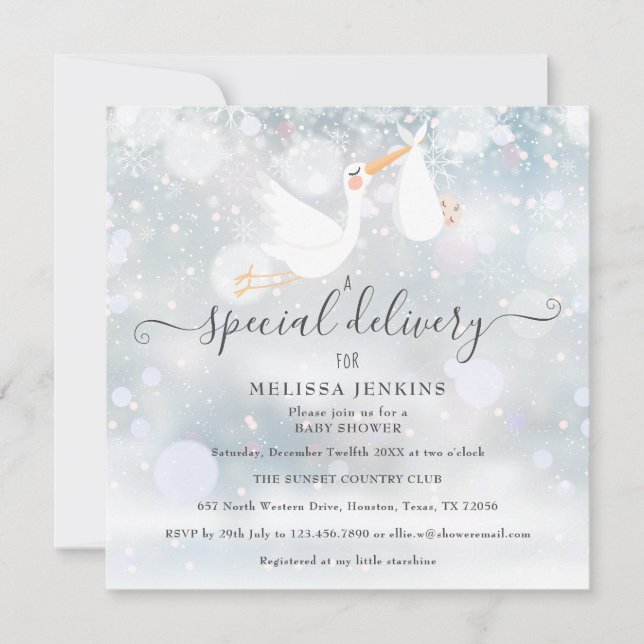 En speciell leverans stork vinter baby shower inbjudningar (Framsida)