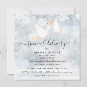En speciell leverans stork vinter baby shower inbjudningar