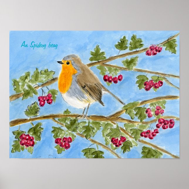 En spideog-beag Poster (Framsidan)