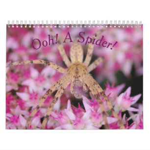 En spider! Kalender