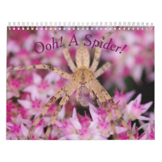 En spider! Kalender