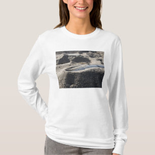 En statisk elektricitetvisning av en t shirt