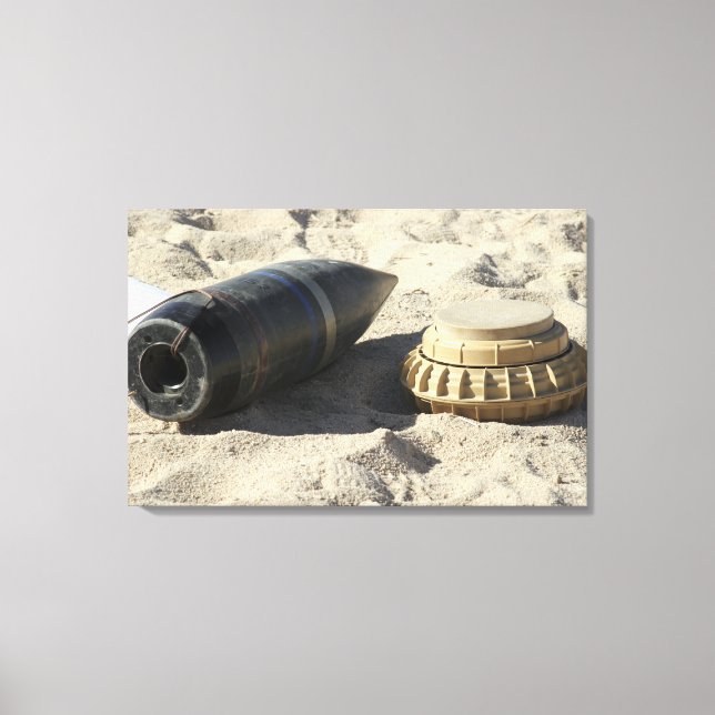 En statisk visning av en konverterad snäcka för ar canvastryck (Framsida)