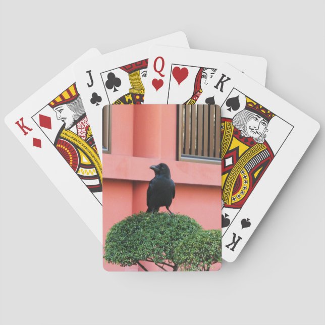 En stor Kråka på ett moln Träd Casinokort (Baksidan)