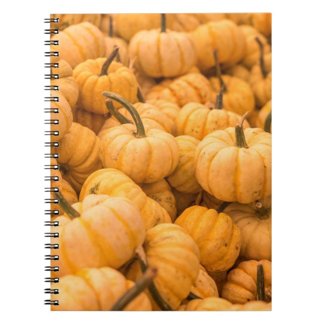 En stor mängd Pumpkins Anteckningsbok (Framsidan)