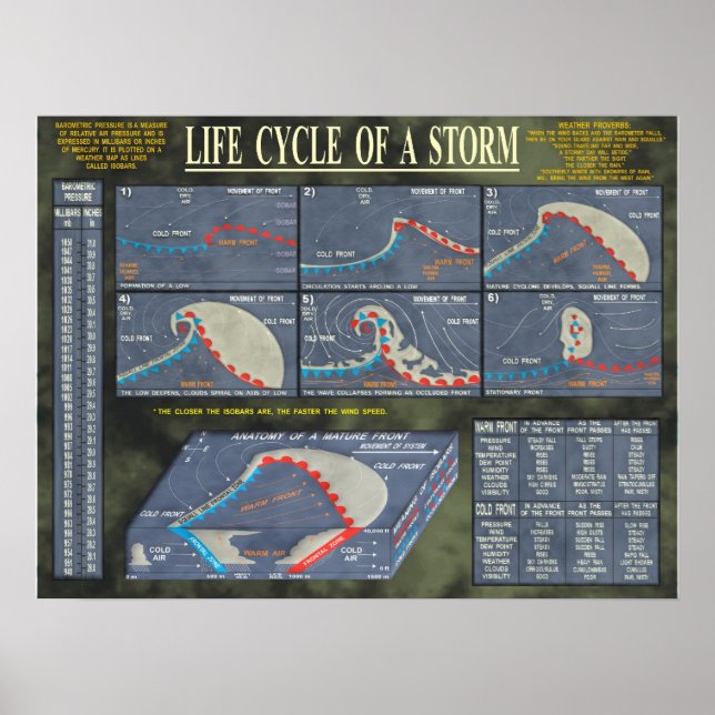 En storms livscykel poster (Framsidan)