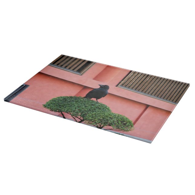 En storskalig Jungle-Kråka en Perch på ett moln Tr (Hörn)