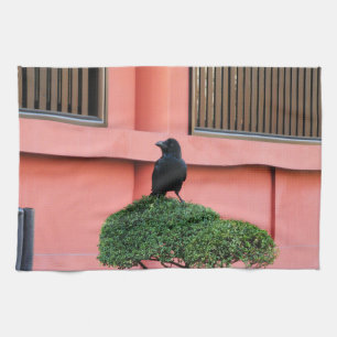 En storskalig Jungle-Kråka en Perch på ett moln Tr Kökshandduk