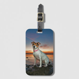 En strand för strand   Brighton för jackRussell Bagagebricka