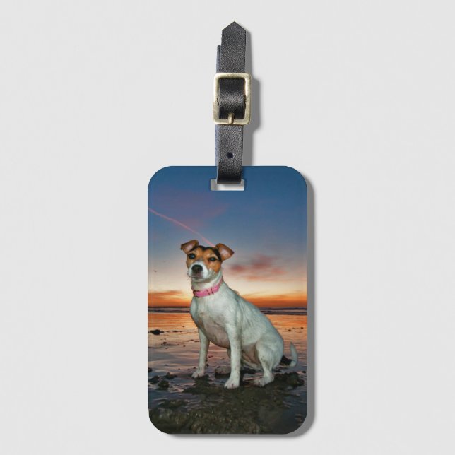 En strand för strand | Brighton för jackRussell Bagagebricka (Framsida vertikal)