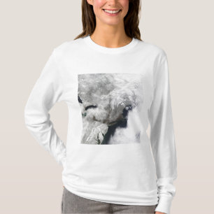 En sträng vinterstorm t-shirt