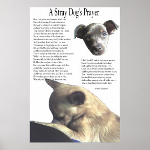 En Stray Hund's Prayer (alternativ bakgrund färg) Poster
