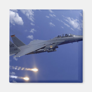 En strejkaörn för flygvapen F-15E Magnet
