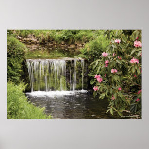 En strömma och en vattenfall i den Dartmoor Poster