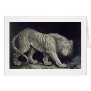 En stryka omkring tiger (rita på papper), hälsningskort