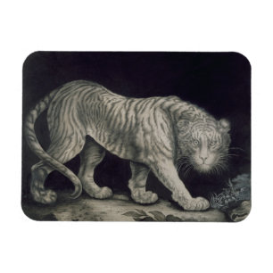En stryka omkring tiger (rita på papper), magnet