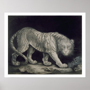 En stryka omkring tiger (rita på papper), poster