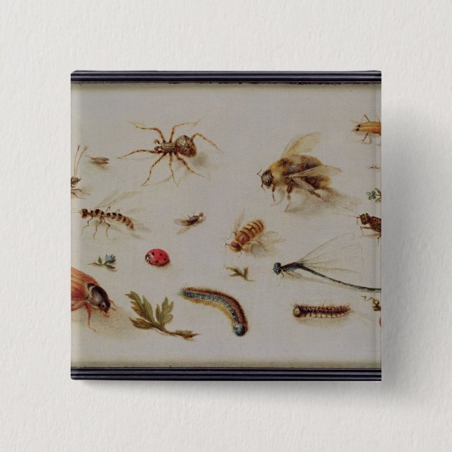 En studie av insekter knapp (Framsida)