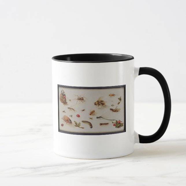 En studie av insekter mugg (Höger)
