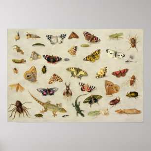 En studie av insektra poster