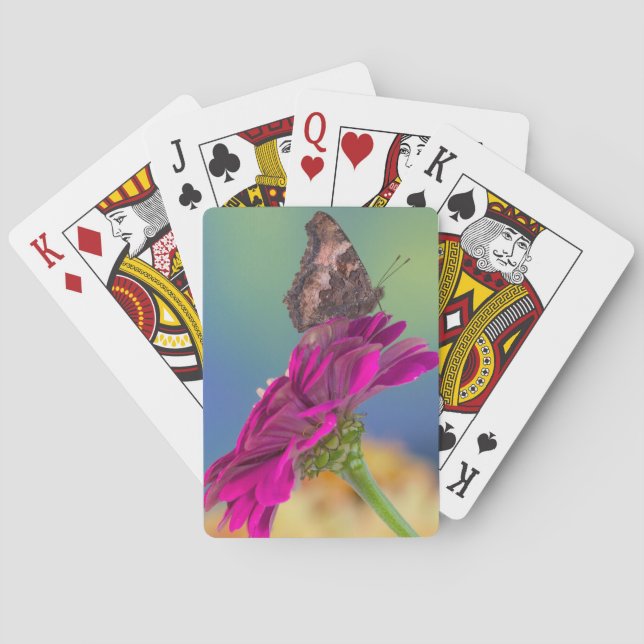 En svalstjärtfjäril | Papilio Multicaudatus Casinokort (Baksidan)