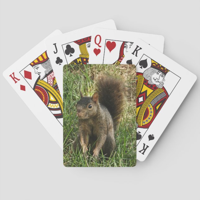 En svart ekorre casinokort (Baksidan)