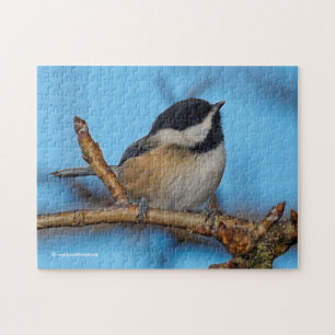 En svart-klädd Chickadee på Pear Träd Pussel